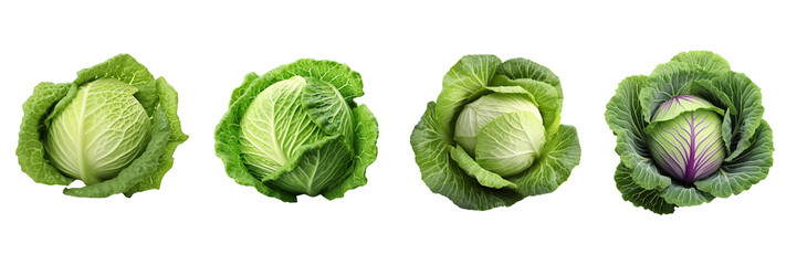 Obraz premium High-resolution 3D cabbage models.