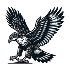 Fototapeta premium Wild animal bird of prey, raptor bird vector design illustration, hawk eagle falcon logo flat design template isolated on white background