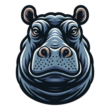 Wild animal hippopotamus head face design vector, zoology illustration, hippo flat design template isolated on white background