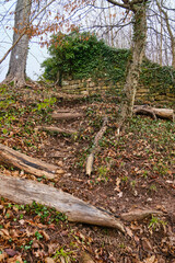 Piece of Wood and Wall Overgrown