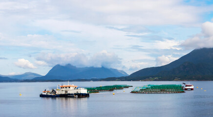 Blue waters around a salmon farm circular nets in the Molde Fjord Norway 