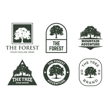 Forest badge vector set Isolated over white background.