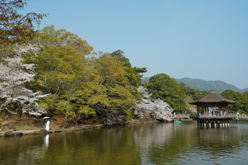 春の浮見堂