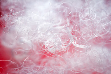 Fototapeta premium Extreme macro of polyester stable fiber on red background