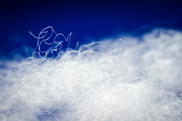 Extreme macro of polyester stable fiber on blue background - obrazy, fototapety, plakaty