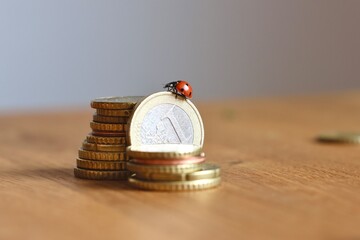 Stacked money with a ladybug on top, symbol for luck, success, financial freedom, pile of euro coins, concept of wealth, profit, lucky business, income and earnings