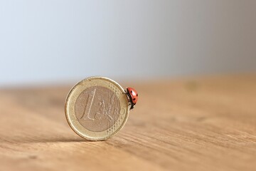 1 Euro Münze, Geldstück mit Marienkäfer als Symbol für Gewinn, Spekulation,  finanziellen Erfolg und Glück