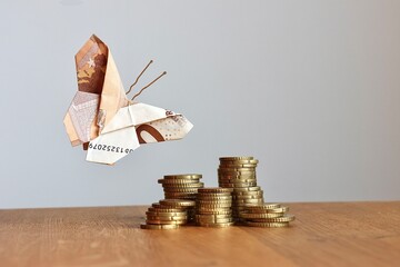 Money butterfly made of banknote flies over euro money pile and coins. Money income, household...