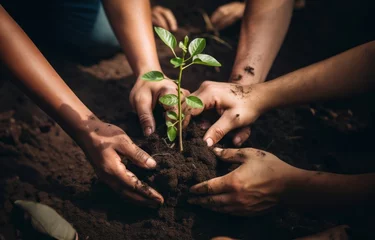Fotobehang hands from a close-knit community come together to plant a young sapling, symbolizing collective growth, environmental stewardship, and the nurturing bond between people and nature.Generated image © .shock
