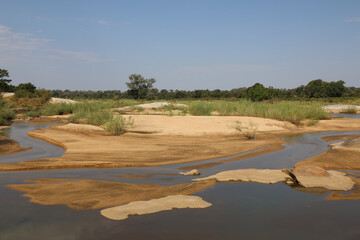 Afrikanischer Busch - Krügerpark - Sand River / African Bush - Kruger Park - Sand River /