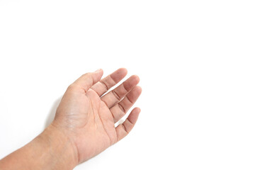 hand on the white background