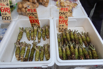 Wasabi or Japanese horseradish displayed at Tsukiji Market in Tokyo, Japan. October 27, 2023