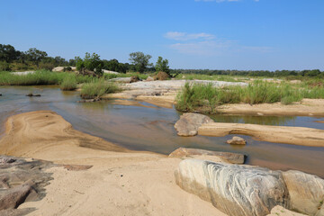 Afrikanischer Busch - Krügerpark - Sand River / African Bush - Kruger Park - Sand River /