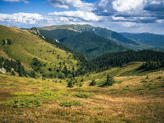 Beautiful alpine valley in Carpathian mountains with pine forest