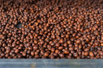 Drying coffee cherry in the sun