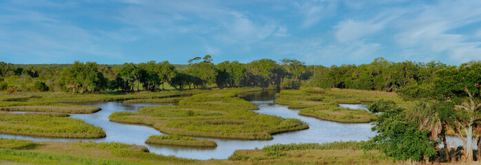 A panoramic view of the intertidal coastal habitat of Cockroach Bay Nature Preserve in Hillsborough...