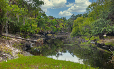 Beautiful southern live oaks and palm trees reflect in the Myakka River in MRSP. The river was...