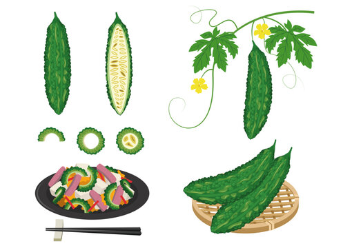 夏野菜のゴーヤと沖縄ゴーヤチャンプル