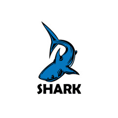 shark logo vector. blue shark logo design