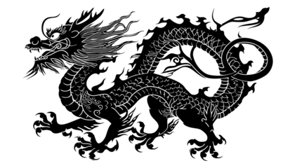 Ink and Ivory: A Contrast of Dragons