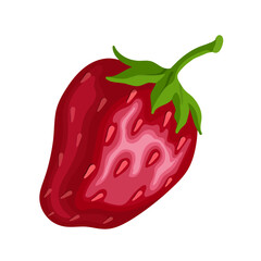Juicy, ripe strawberry. Vector graphics.