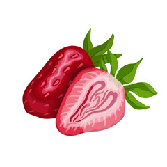 Juicy, ripe strawberry. Vector graphics.
