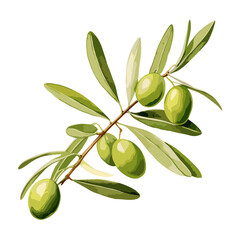 An illustration of green olives on a branch, crafted using the watercolor technique on a white background.