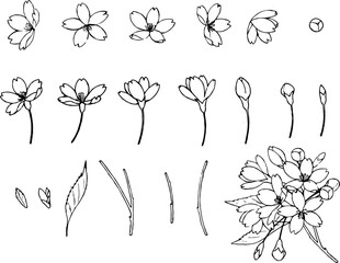 ペンで描いた桜のパーツ2 © エコ