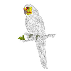 Parrot in Yellow bird Indian Ringneck Parrot alexander outline low-polygon on branch  on a white background vintage vector illustration editable Hand draw