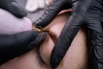 Macro photo of eyebrows with applied permanent makeup in pixel technique. PMU Procedure, Permanent...