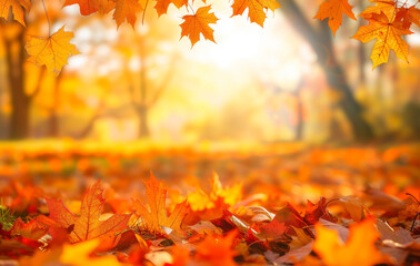Orange fall leaves in park, sunny autumn natural background 