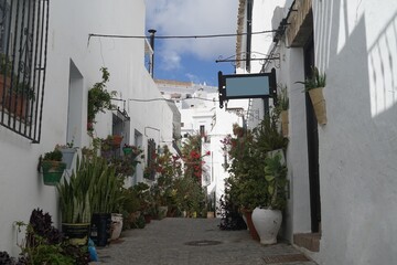 Fototapeta premium narrow alley with many flowers in plant pots on the ground and at the walls in the old town of Vejer de la Frontera, Costa de la Luz, Andalusia, Spain
