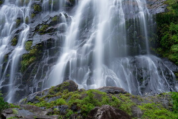 waterfall in the forest