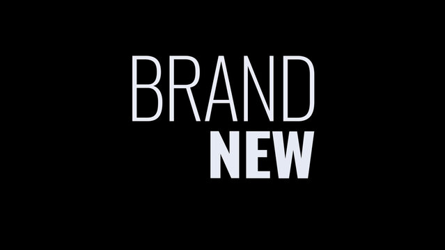 Echo Type Motion Kit | Multi-Resolutions and Color Control Panel