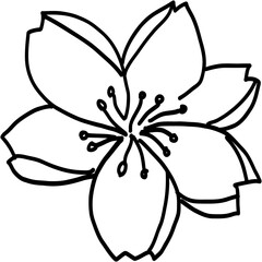 Doodle freehand drawing of cherry blossom flowers.	