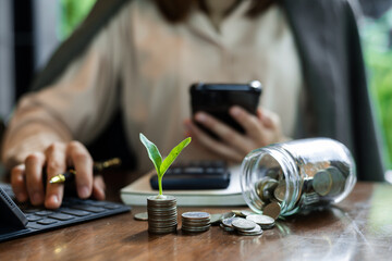  Plant Amidst Coins With business working project In Background..