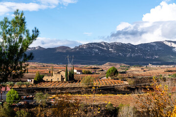 Ausblick über den Ort Elciego im Baskenland in Spanien