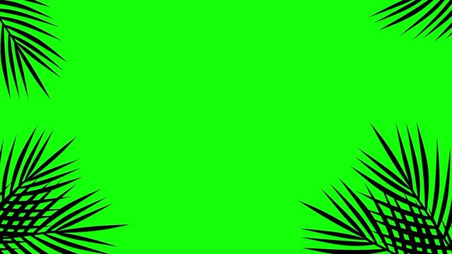 Animation of tropical leaves moving in the wind. Coconut leaf frame with green screen background. Summer leaf silhouette.