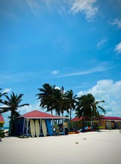 Fototapeta premium beach with palm trees