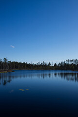 reflection in the water