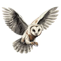 Fotobehang Illustration of an owl with wings spread on a white background. © Muhammad