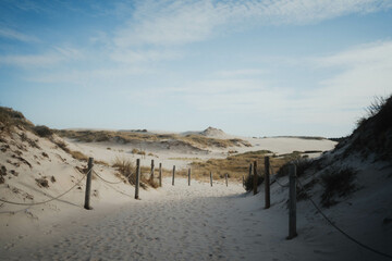 Beach and Dunes