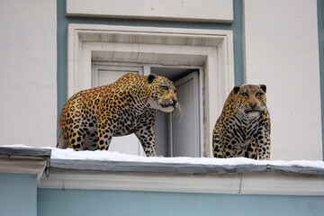Sculptures of two leopards on building facade near an open window