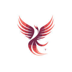 Wings logo design. Bird wing logo icon vector design template.