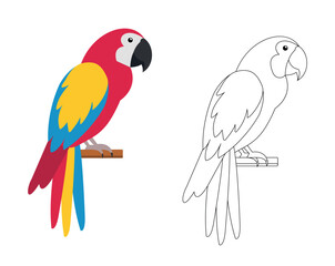 Parrot isolated on white background. Colorful and black and white parrot for coloring book. Coloring book for children. Vector stock