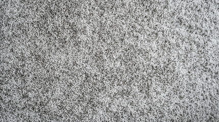 Fototapeta premium texture carpet , ash gray, top view , close up tu details 