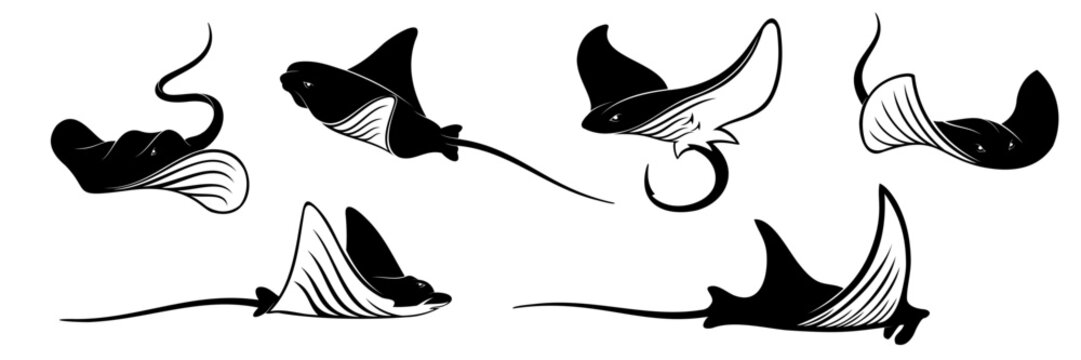 stingray silhouette
