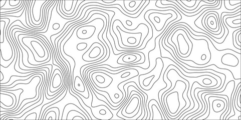 Abstract white topography vector background. Topographic map. Geographic mountain relief. counter map wavy line paper textrue. grid curve line abstract vector illustration .	