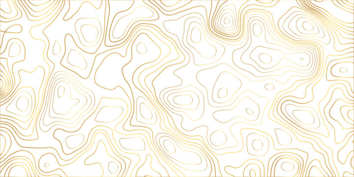 Abstract light golden topography vector background. Topographic map. Geographic mountain relief. counter map wavy gold line paper textrue. grid curve line abstract vector illustration .	