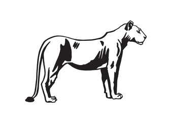 Graphical lioness on white background, ink-pen graphics